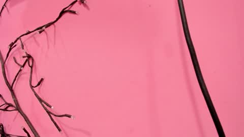 Liam online show from 01/18/26, 03:10