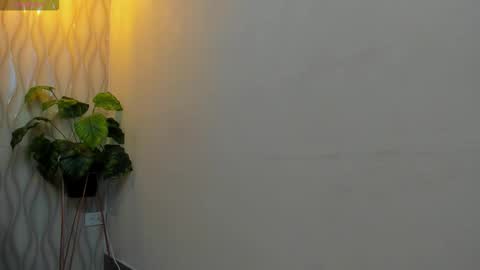 LIAM KLEIN online show from 02/12/26, 11:05