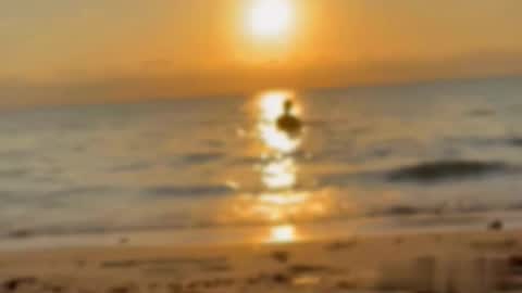 Tell me Liam online show from 01/16/26, 11:53