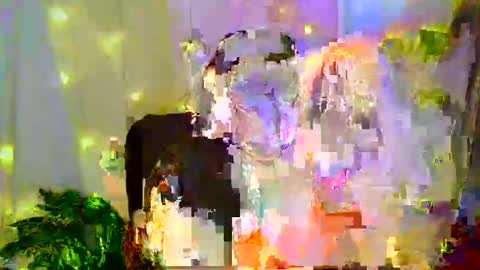 Liberta online show from 11/30/25, 03:21