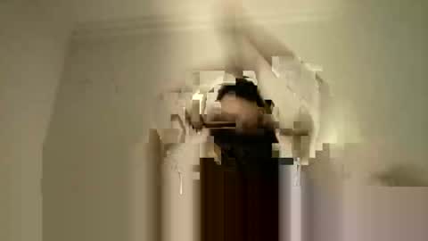 LPBT online show from 09/15/25, 09:15