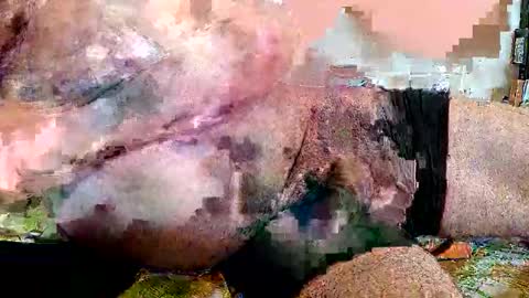 Snapshot of lickingover chatting on 04/08/26, 11:32 lickingover online show from 04/08/26, 11:32