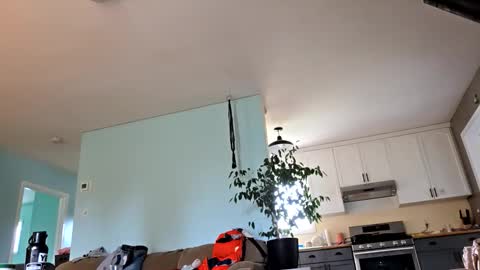 lickurpussygood40 online show from 10/24/25, 05:31