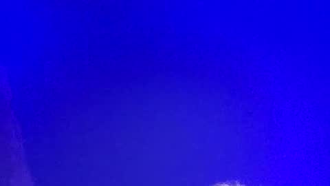 Snapshot of lickyouryoni chatting on 03/03/25, 02:48 LickYourYoni online show from 03/03/25, 02:48