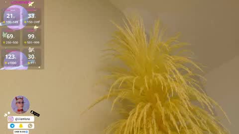 Liiam Luna online show from 04/15/26, 10:00