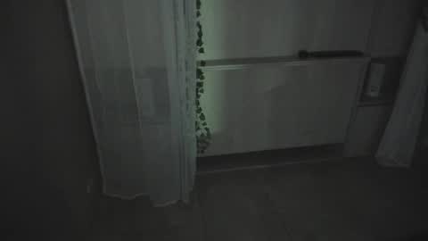         online show from 12/16/25, 11:37