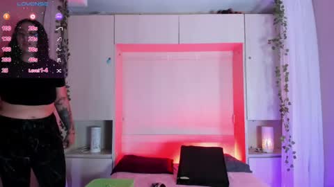         online show from 05/30/26, 12:13