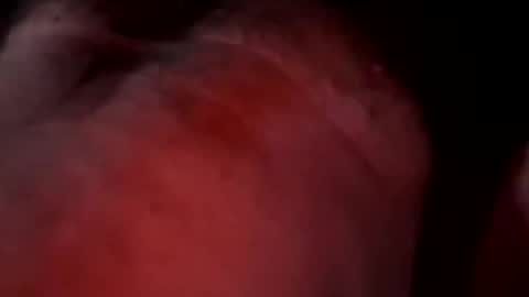 Liketoplay online show from 03/20/26, 11:48