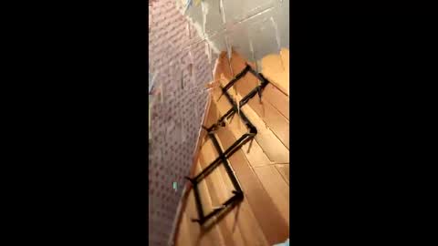 likewhatchasee online show from 06/08/26, 04:46