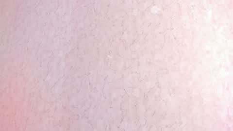 L I L A   online show from 02/04/25, 06:38