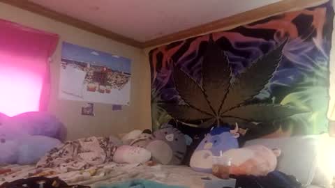 BunBun online show from 06/19/26, 05:50
