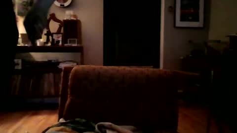 lildeer1980 online show from 01/08/25, 08:16