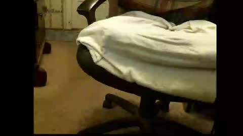 Sasquatch online show from 03/01/26, 05:37