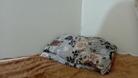 lilfreya online show from 04/13/26, 11:48