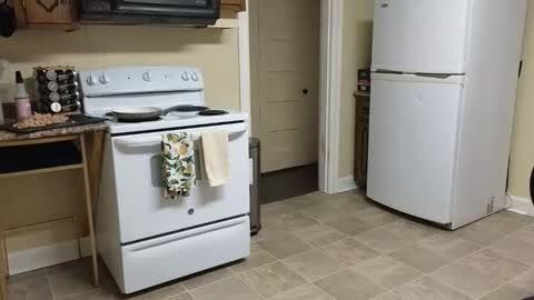 lilly_adams88 online show from 02/20/26, 02:52