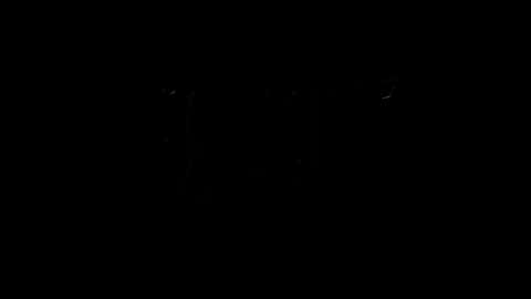 Snapshot of lilpresident chatting on 02/04/25, 10:13 lilpresident online show from 02/04/25, 10:13