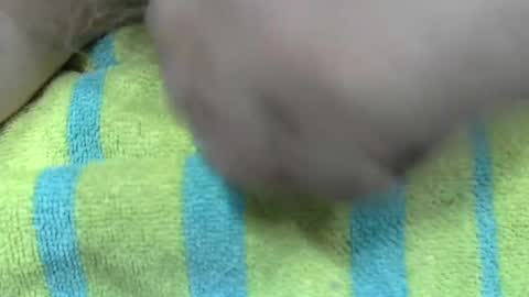 LilTonyPA online show from 01/21/25, 06:45