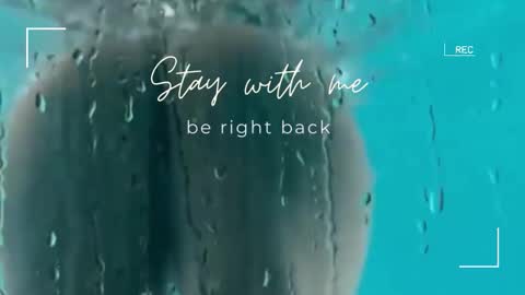 Lily online show from 12/19/25, 07:04