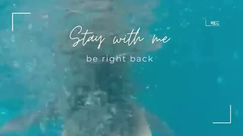 Lily online show from 02/18/26, 06:42