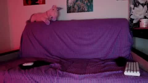 Lily Litle online show from 12/08/24, 06:17