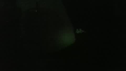 Snapshot of lily_lovelyman_ chatting on 12/26/24, 04:53 lily lovelyman online show from 12/26/24, 04:53