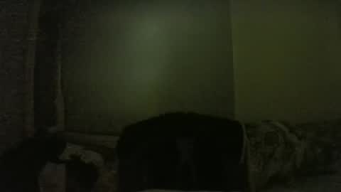 Snapshot of lily_lovelyman_ chatting on 02/01/25, 06:08 lily lovelyman online show from 02/01/25, 06:08