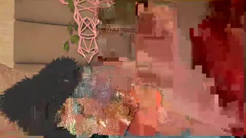 Lily Miiller online show from 02/05/26, 09:41