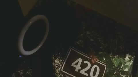 lilybvixen online show from 02/25/26, 04:55