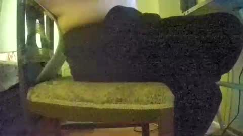 lilylovelyman50 online show from 06/22/26, 12:02