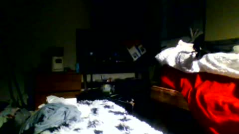 Richie Rich online show from 12/30/24, 11:17