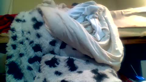 Richie Rich online show from 01/15/25, 10:35