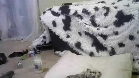 Richie Rich online show from 02/18/25, 12:28