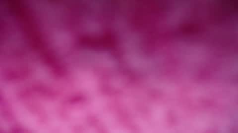 lindsey_2023 online show from 12/29/24, 09:20