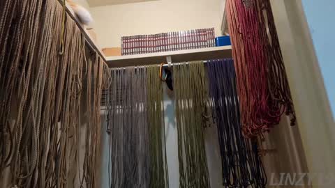 Linzy19 online show from 02/07/25, 03:01