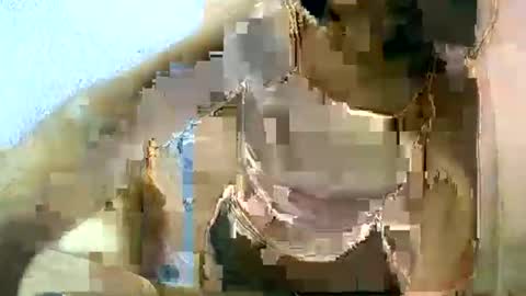 liora online show from 03/11/25, 06:53