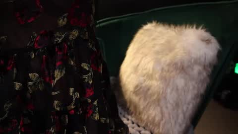 Lire online show from 02/20/25, 04:18