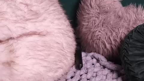 Lire online show from 10/02/25, 04:52