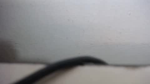 lisa_branch online show from 09/20/25, 10:27