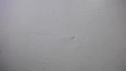 lisa_branch online show from 10/04/25, 10:24