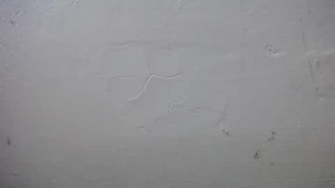 lisa_branch online show from 10/13/25, 07:25