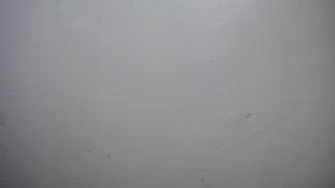 lisa_branch online show from 10/18/25, 10:16