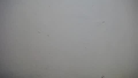 lisa_branch online show from 11/03/25, 10:38