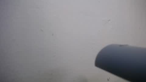 lisa_branch online show from 11/04/25, 07:02