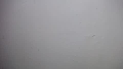 lisa_branch online show from 12/18/25, 10:54