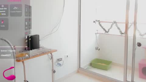 Snapshot of lisa_santoss chatting on 12/08/24, 06:17 Lisa online show from 12/08/24, 06:17