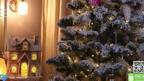 Snapshot of lissa_meooow chatting on 01/19/25, 09:22 your Liza again. Next stream Dec. 1 at 2 or 3 GMT online show from 01/19/25, 09:22