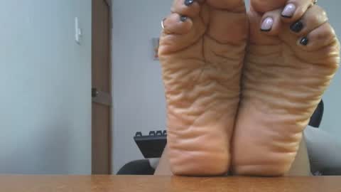 Lissafeethot online show from 11/20/25, 08:52