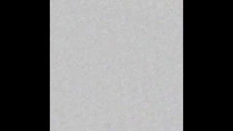 Snapshot of little_pearl_ chatting on 02/17/25, 05:25 Adaline online show from 02/17/25, 05:25