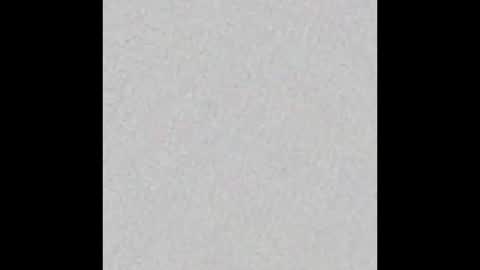 Snapshot of little_pearl_ chatting on 11/23/25, 05:29 Adaline online show from 11/23/25, 05:29