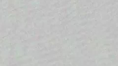 Adaline online show from 04/03/26, 07:50